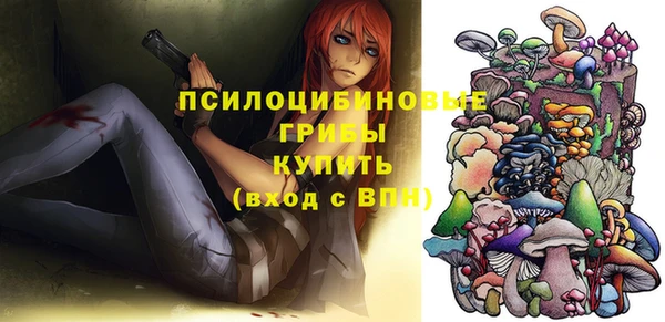 гашик Медвежьегорск