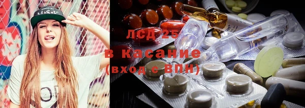 гашик Медвежьегорск