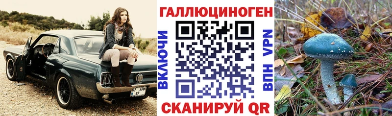 Галлюциногенные грибы прущие грибы  Купить  Миньяр 